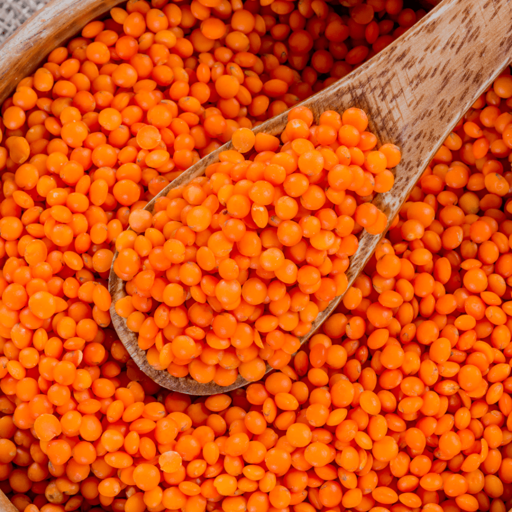 rode linzen vegan pasta