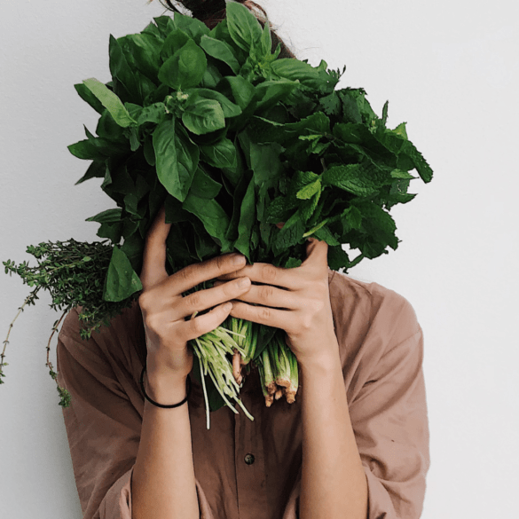 veganuary tips
