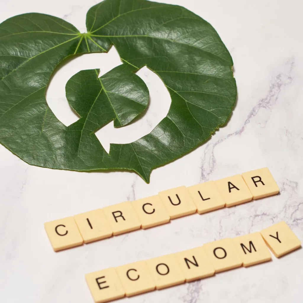 circulaire economie producten en tips