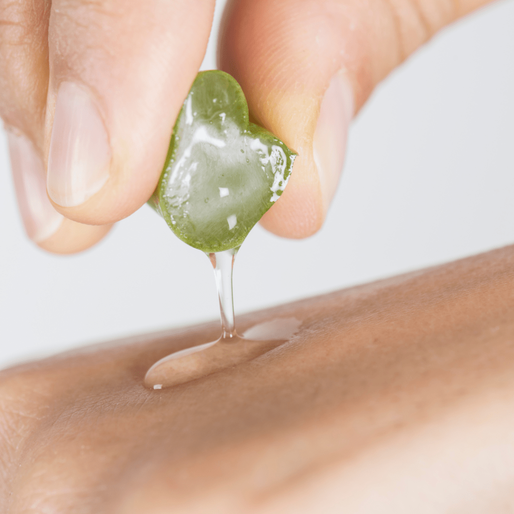 Aloe vera bij wondjes